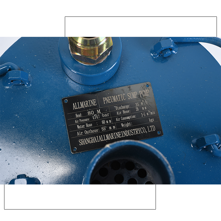 Pneumatic Sump Pump